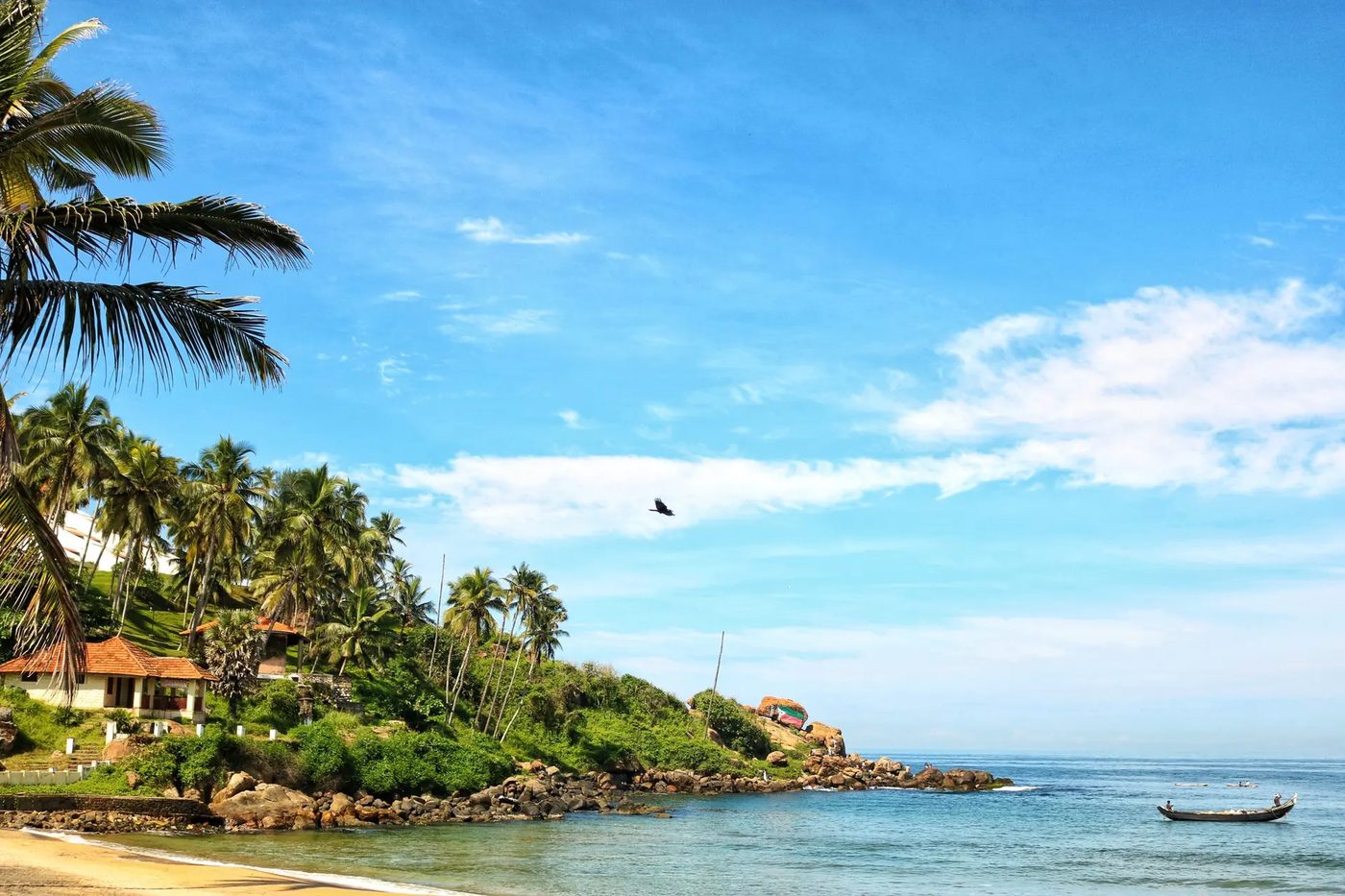 Palms and open sea light on the Kerala coast at Marari